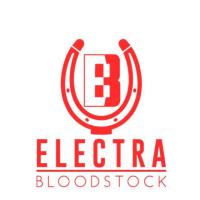 Electra Bloodstock image 1